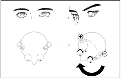 Figura 1. Reflejo óculo-vestibular normal.