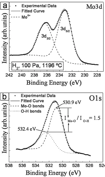 Fig. 4. SEM image showing the high porosity of a MoO 3 sample obtained under condition (H 2 , 100 Pa, 781 ◦ C).