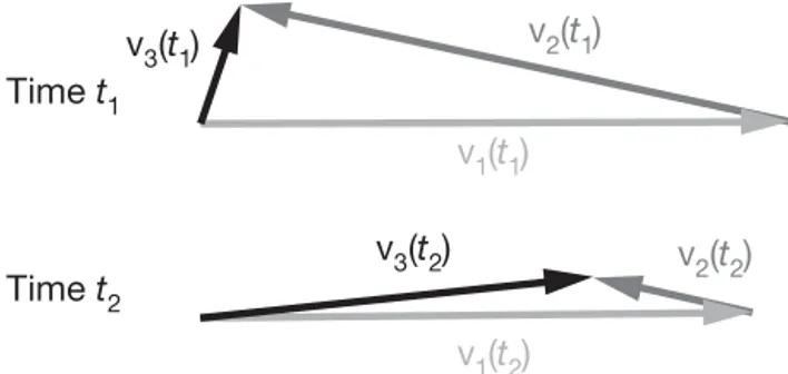 Fig. 1. Geometrical demonstration of how the sum (v 3 ) of 2 non-orthogonal vectors (v 1 and v 2 ) can grow in length for the transient time period from t 1 to t 2 , even while each of the  com-ponent vectors decreases in length over the same time period