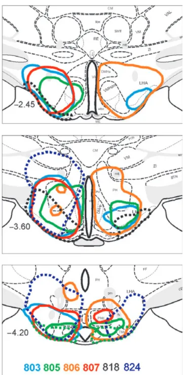 Figure 2. Schematic drawings of transverse sections through the lat- lat-eral hypothalamic area (LHA), showing the six largest lesions, depicted at three levels posterior to bregma