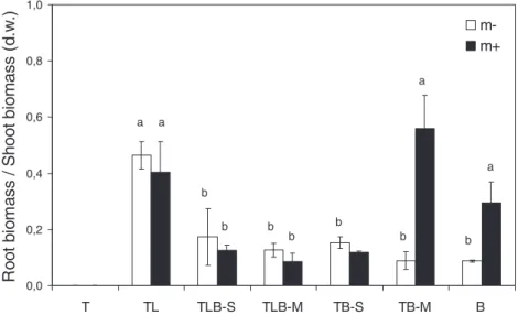 Figure 4 Root to shoot biomass (d.w. = dry weight) ratio of Lolium perenne var. nui plants on experimental treatments