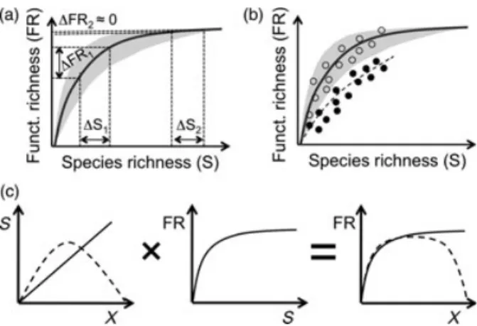 Fig. 1b). As FRSR translates species responses into func- func-tional consequences, assessing funcfunc-tional redundancy and environmental ﬁlters in fragmented landscapes may allow to foresee the effects of changes in land use on biodiversity and the provi