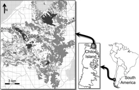 Fig. 2. Location and schematic represen- represen-tation of the fragmented rural landscape in northeastern Chiloe Island, X Region, Chile.