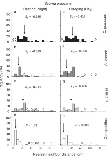 Fig. 5. Frequency distribution of nearest neighbor distances (cm) for the scurrinid limpet Scurria araucana at mid-intertidal levels at Las Cruces during resting (a–d) and foraging (e–h)