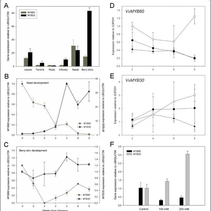Figure 2 Gene expression profiles of VvMYB60 and VvMYB30 in different plant tissues and in response to ABA
