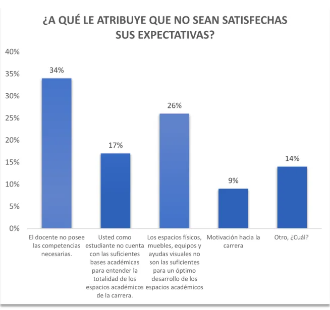 Gráfico 11: ¿A qué le atribuye que no sean satisfechas sus expectativas? 