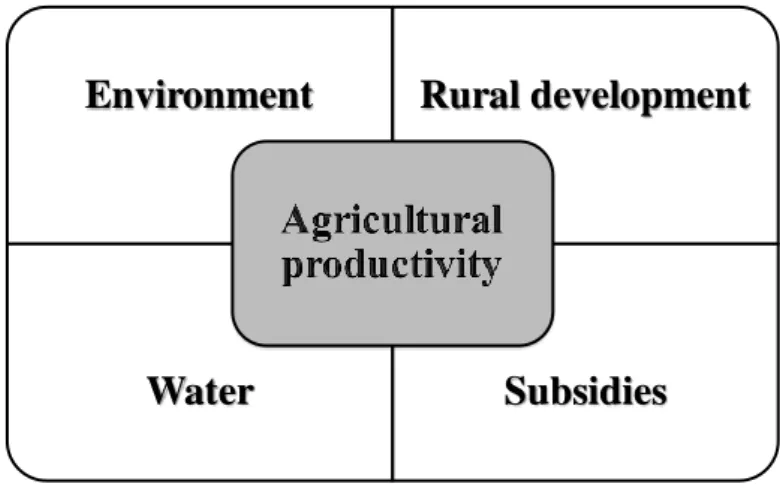 Figure 1. Relations climate, water and adaptation policies in agricultural production 