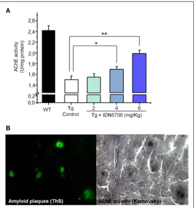 Table 1 | IDN 506 increases BuChE activity in brains of double transgenic APP–PS1 mice.