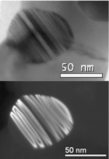 Fig. 5. BF/DF image of a twinned particle prepared under 200 Pa of hydrogen partial pressure (under condition 4).