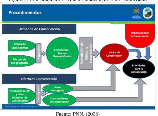 Figura 5. Procedimiento PNN determinación de representatividad 