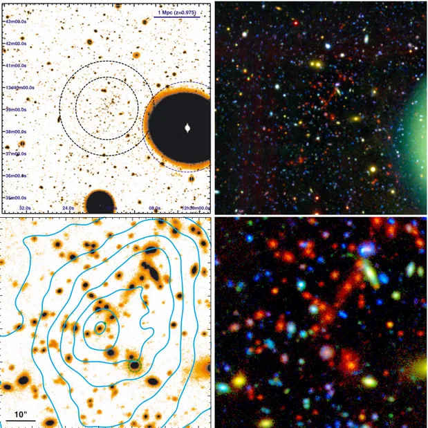 Fig. 1. Optical appearance of the galaxy cluster XMMU J1230.3 +1339 at z = 0.975. Top left: co-added 9.5  × 9.5  i  z  image showing the cluster environment