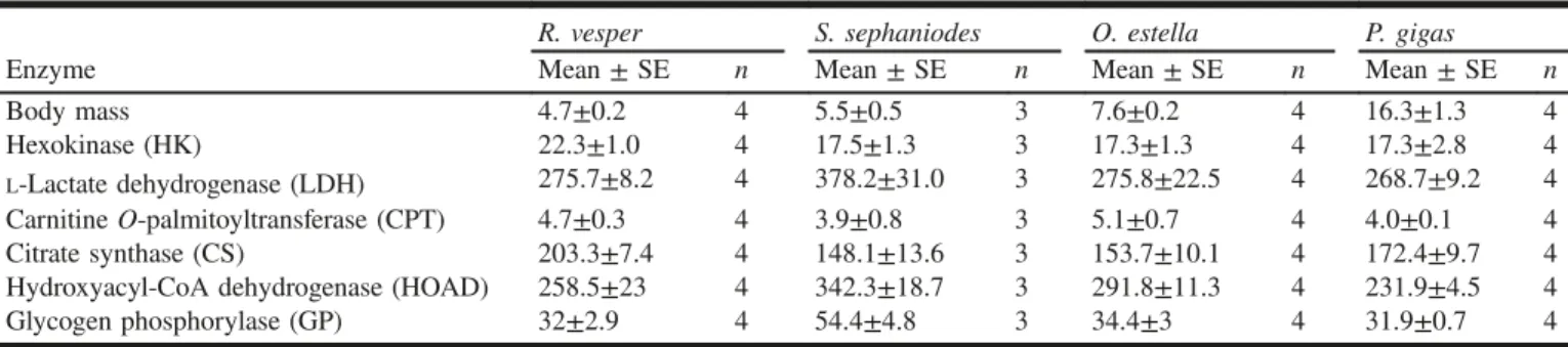 Table 2. Kruskal –Wallis test showing the difference in maximum enzyme activities (V max ) in flight muscles between four  humming-bird species (Oasis Humminghumming-bird (Rhodopis vesper), Green-backed Firecrown (Sephanoides sephaniodes), Andean Hillstar 
