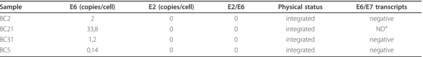 Table 2 Physical status, viral load and E6/E7 expression in HPV-16 positive breast carcinomas