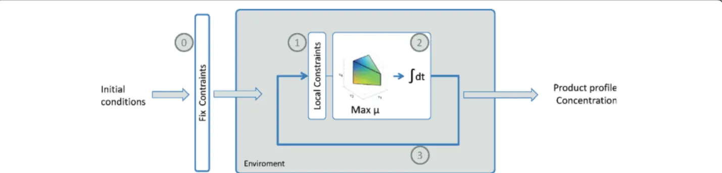 Figure 1 Resolution algorithm of idFV715 model. The model is based on an iterative optimization of an under determined matrix, using LINDO optimization software (LINDO system): 0) Fixed constraints to be used throughout fermentation are defined, such as ge