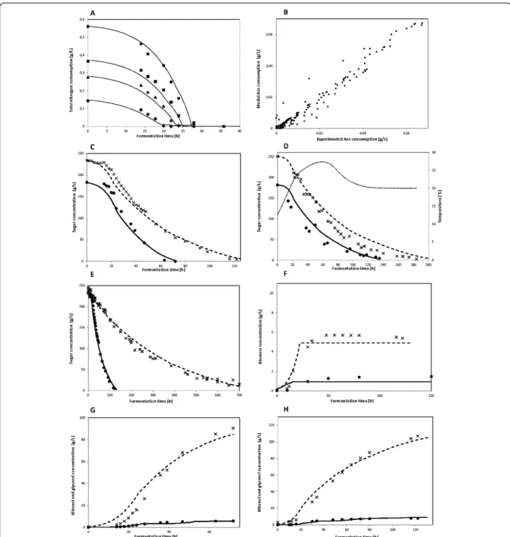 Figure 2 idFV715 model performance. Model predictions of consumption and production rates of the main metabolites and nutrients involved in an alcoholic fermentation