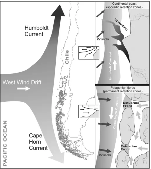 Fig. 1. Main oceanographic currents along the coast of southern Chile and conceptual model of the main oceanographic features along the continental coast of central–