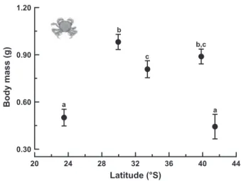 Fig. 2. Male body mass of Cyclograpsus cinereus in different popula- popula-tions along the coast of Chile