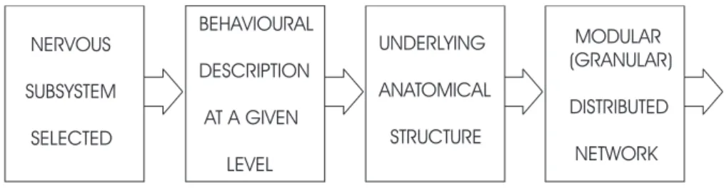 Figure 4. Proceeding according McCulloch’s Program II