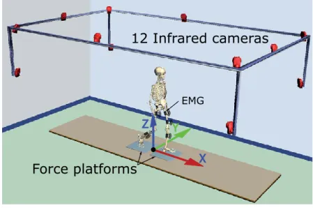 Figure 2.13 – Gait laboratory.