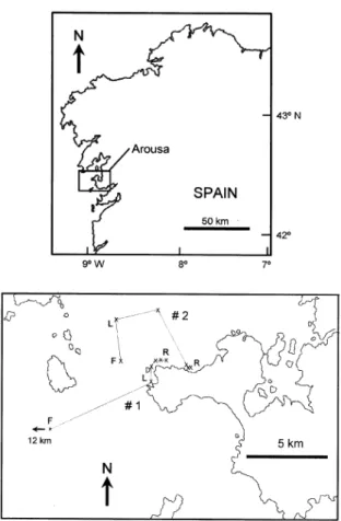 Figure 1. Migrations of the spider crab Maja squinado in the R´ıa de Arousa and adjacent coastal area (Galicia NW Spain) using  teleme-try and electronic data storage tags