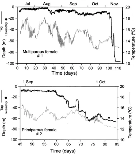 Figure 2. Migrations of the spider crab Maja squinado in the R´ıa de Arousa and adjacent coastal area (Galicia NW Spain) using telemetry and electronic data storage tags