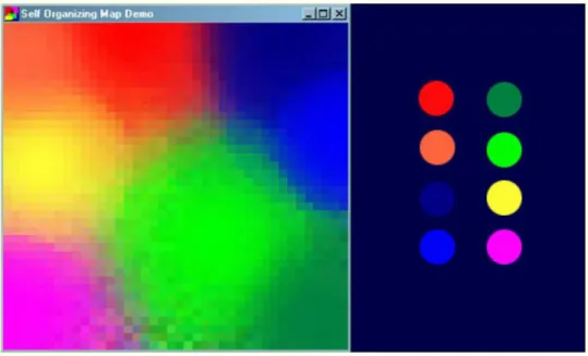 Figure 9. Example of How a SOM works  Source: ai-junkie 