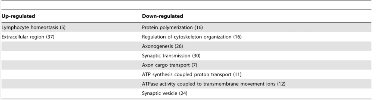 Table 2. Significantly enriched GO categories of the differentially expressed genes in the cerebellum.