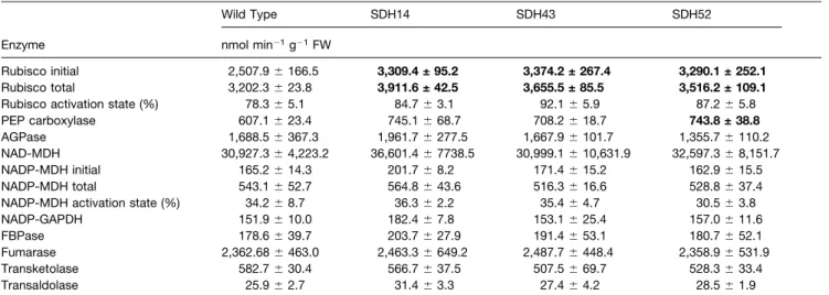 Table 3. Effect of Decreased Succinate Dehydrogenase Activity on Photosynthetic Carbon Partitioning at the Onset of Illumination of 4-Week-Old Fully Expanded Source Leaves