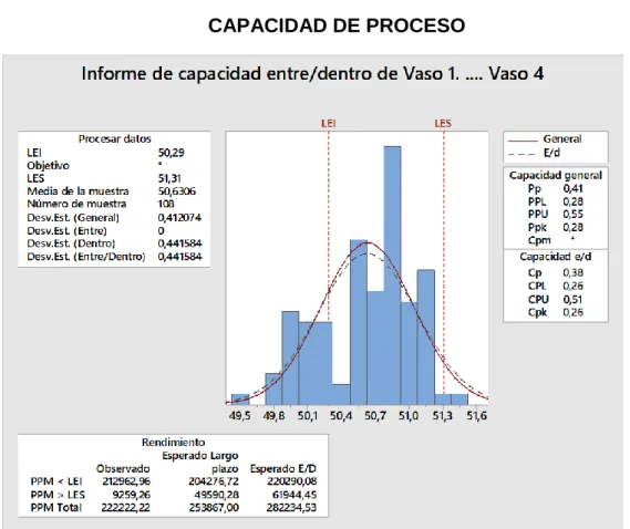 GRÁFICO N° 2   CAPACIDAD DE PROCESO 