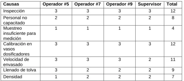CUADRO N° 12   MATRIZ DE PONDERACIÓN 