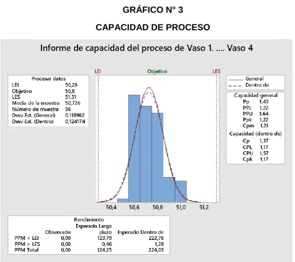 GRÁFICO N° 3   CAPACIDAD DE PROCESO 