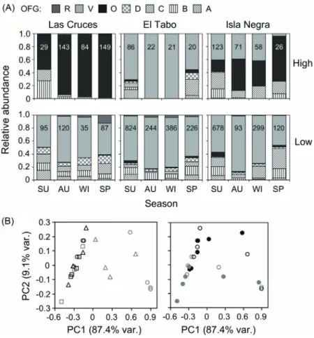 Fig. 3: Spatio-temporal dynamic of the ontogenetic feeding guild (OFG) structure of the intertidal fi sh assem- assem-blage in Central Chile