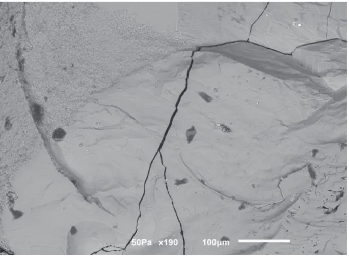 Fig. 1. Scanning electron microscopy showing the presence of contamination by organic particles at the  surface of a chert debitage debris