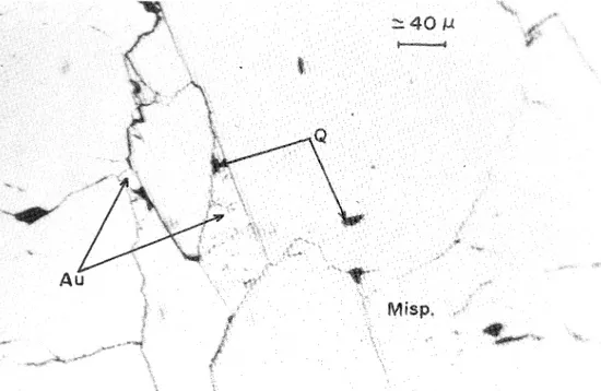 Foto 3. Area de Brués. Oro intergranular de mispique1, asociado a pequeñas cantidades de cuarzo (NII aceite).