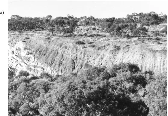 Figure 8. (a) Colluvial deposit with coarse and fine horizons exposed in railway cutting, Pichi Richi Pass, southwest of Quorn, southern Flinders Ranges
