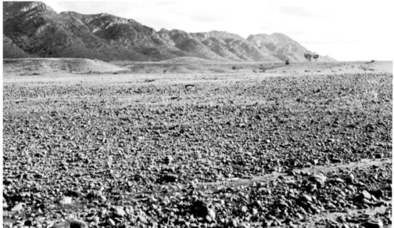 Figure 5. Quartzite lag strewn over valley floor within anticlinal structure between the Chace Range and Wilpena Pound, central Flinders Ranges, South Australia.