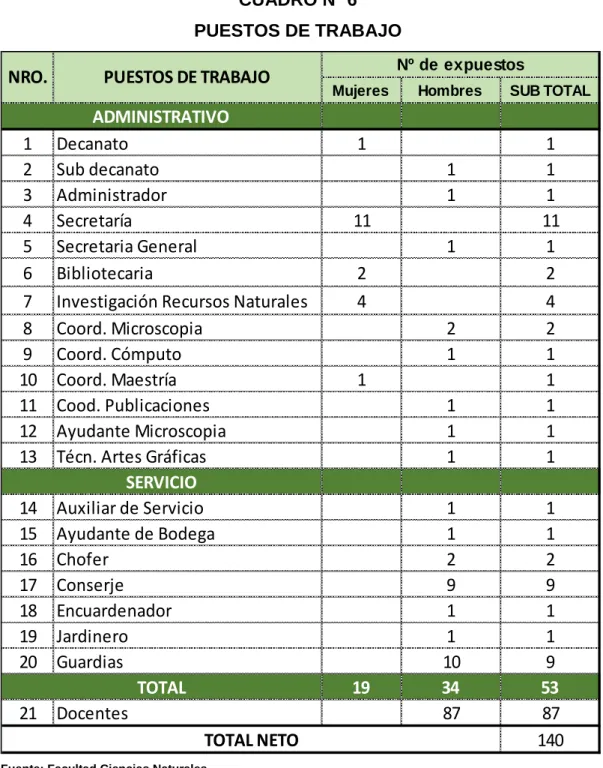 CUADRO Nº 6  PUESTOS DE TRABAJO 