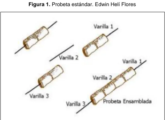Figura 1. Probeta estándar. Edwin Helí Flores 