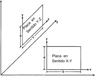 Figura 11. Sistema de coordenadas propuestas por el manual de la PCA. 