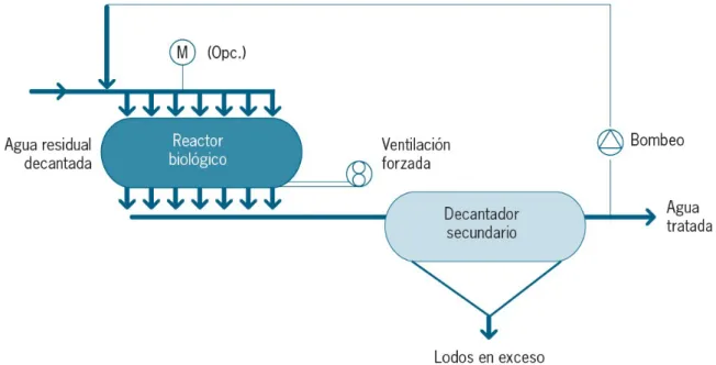 Figura 4. Esquema general de una EDAR de Lechos Bacterianos (Adaptada de Jácome et al.,  2012)