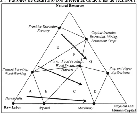 Figura 1. Patrones de desarrollo con diferentes dotaciones de recursos naturales. 