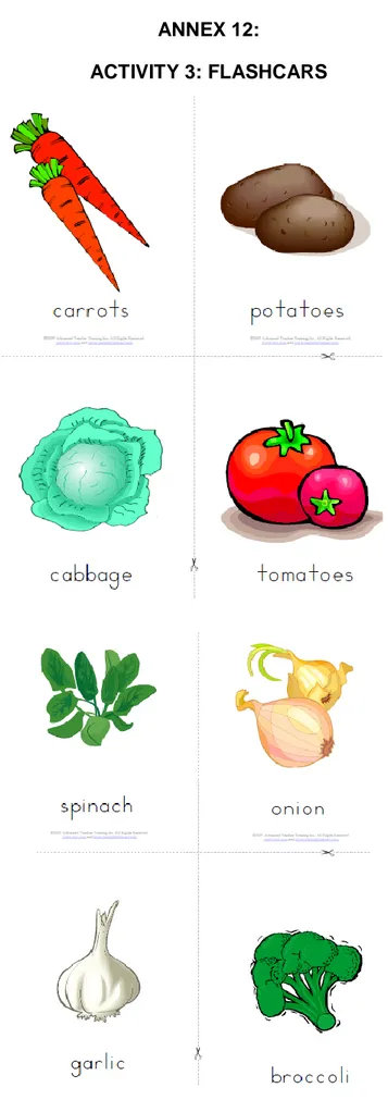 Figure 8. Flashcards used to expose vocabulary and other activities. 