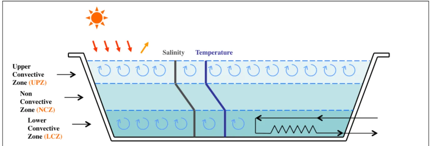 Figure 1.10: Brine stratification and characteristics of each layer in a Solar Pond.