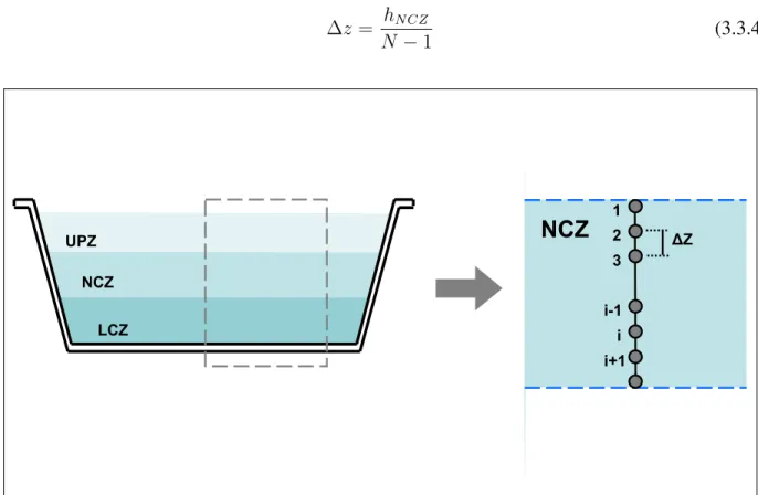 Figure 3.3: Discretization of the NCZ used for numerical resolution of the spatial derivatives.
