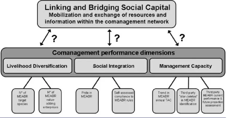Fig. 1. Conceptual model. The research aims at assessing the relationship between linking and bridging social capital and comanagement performance of fisher organizations participating in the Chilean coastal MEABR system