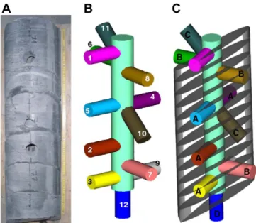 Fig. 3. Protocol for the puriﬁcation and isotopic analysis of the Li and Rb tracers.