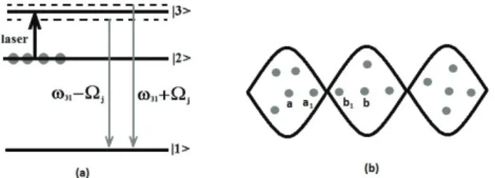 Figure 1. (a) Energetic representation of a three-level atomic ensemble and (b) schematic localization of its atoms in the standing wave.