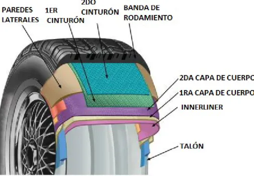 Ilustración 6. Partes estructurales de un neumático. En “What’s in a Tire”, por U. S Tire Manufactures Association, 