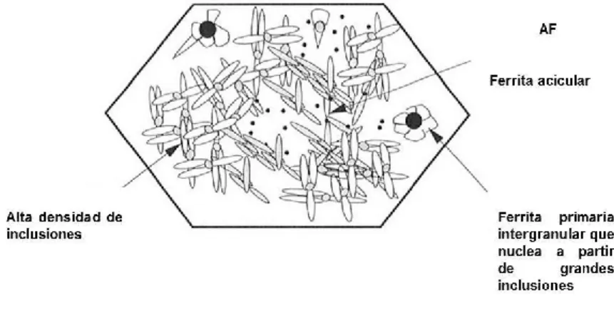 Fig. 10. Ferrita acicular e intergranular 