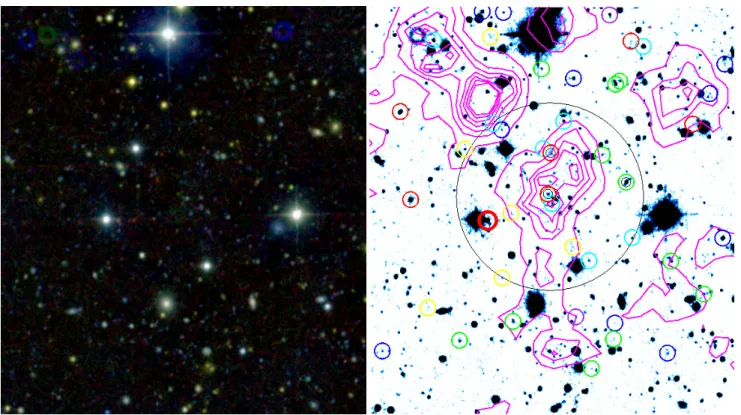 Fig. 4. J, z  , g  colour-composite image of the 3.9 × 4.3 arcmin 2 region of XMMU J0338.7 +0030 mapped with GROND at all seven bands (left panel)